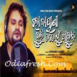 Lo Bayani Bhuli Tote Mu Paruni